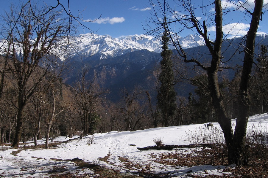 Dodital Trek 2026 (3024M)