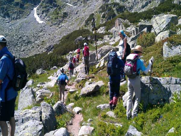 Special Interest Tours